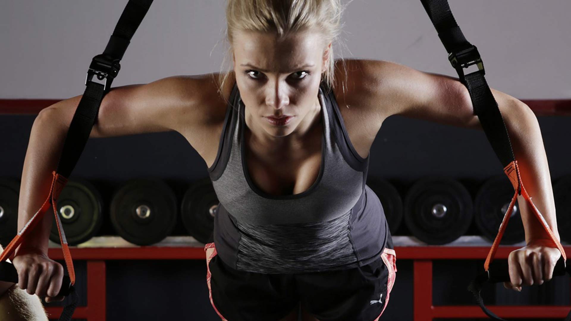 거만한 것은 없다.